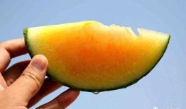 娱乐圈最近有什么瓜可以吃,明星秘闻大揭秘！